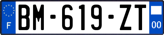 BM-619-ZT