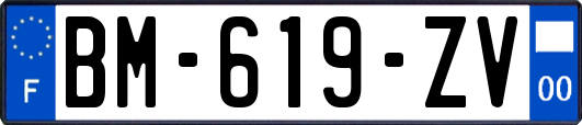 BM-619-ZV