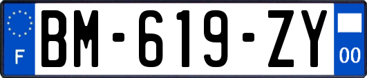 BM-619-ZY