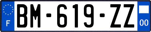 BM-619-ZZ