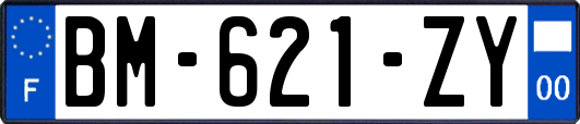 BM-621-ZY