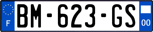 BM-623-GS