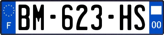 BM-623-HS