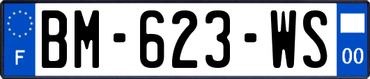 BM-623-WS