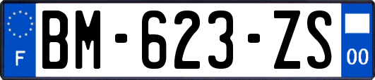 BM-623-ZS