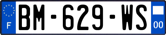 BM-629-WS