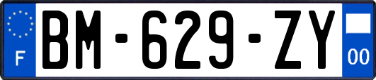 BM-629-ZY