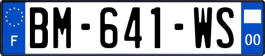 BM-641-WS