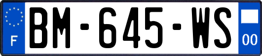 BM-645-WS