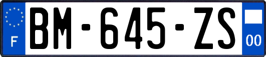 BM-645-ZS