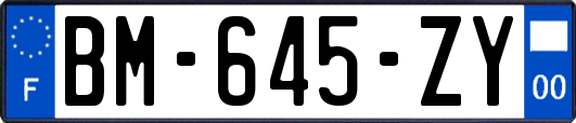 BM-645-ZY