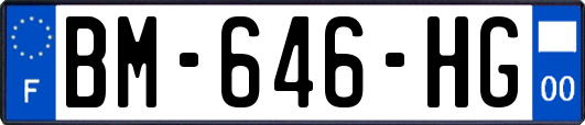 BM-646-HG