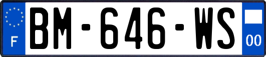 BM-646-WS