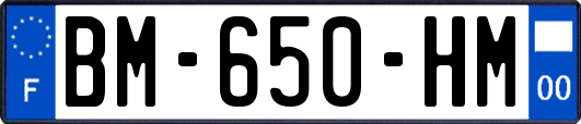 BM-650-HM