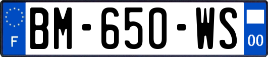 BM-650-WS