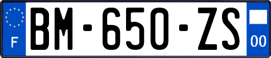 BM-650-ZS