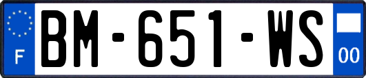 BM-651-WS