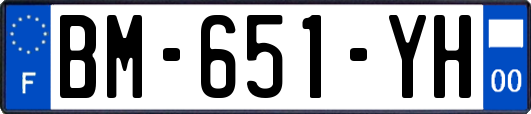 BM-651-YH