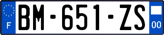 BM-651-ZS