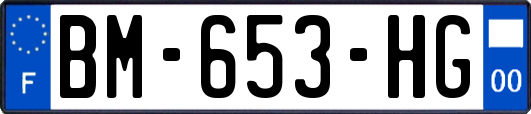 BM-653-HG