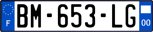 BM-653-LG