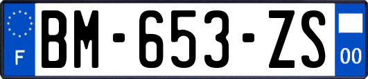 BM-653-ZS