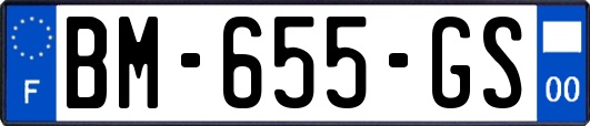 BM-655-GS