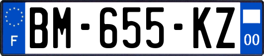BM-655-KZ