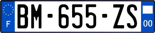 BM-655-ZS