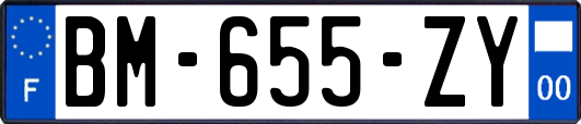 BM-655-ZY