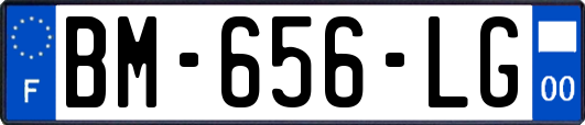 BM-656-LG