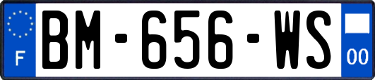 BM-656-WS