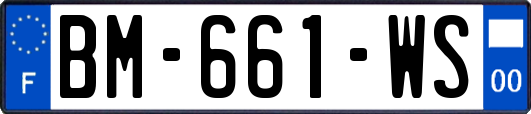 BM-661-WS