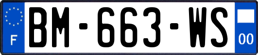 BM-663-WS
