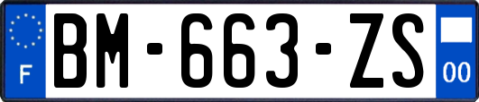 BM-663-ZS