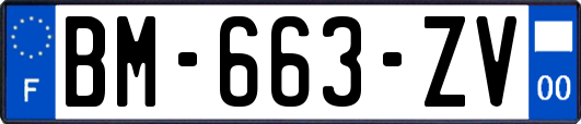 BM-663-ZV