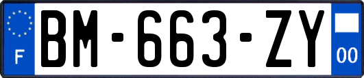 BM-663-ZY