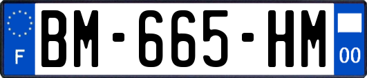 BM-665-HM