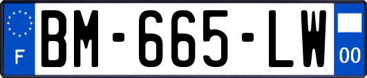 BM-665-LW