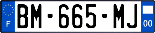 BM-665-MJ