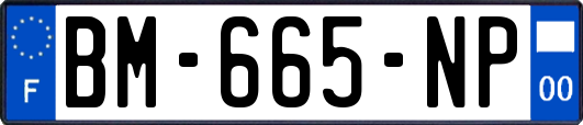 BM-665-NP