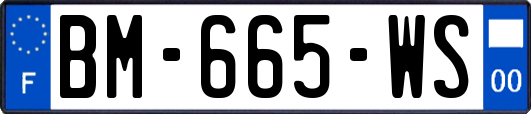 BM-665-WS