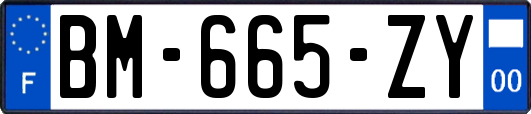 BM-665-ZY