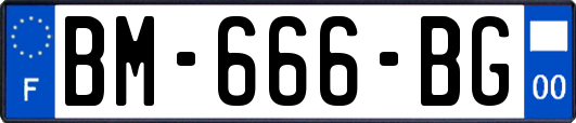 BM-666-BG