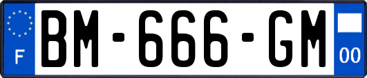 BM-666-GM