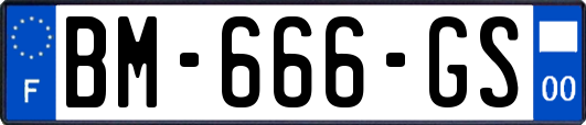 BM-666-GS