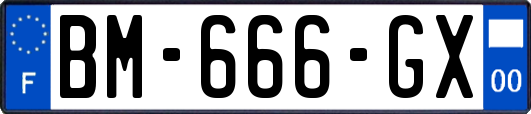 BM-666-GX