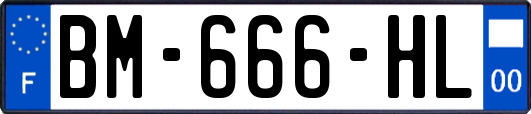 BM-666-HL