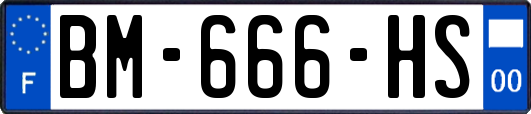 BM-666-HS
