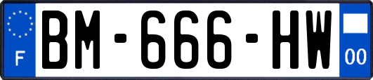 BM-666-HW